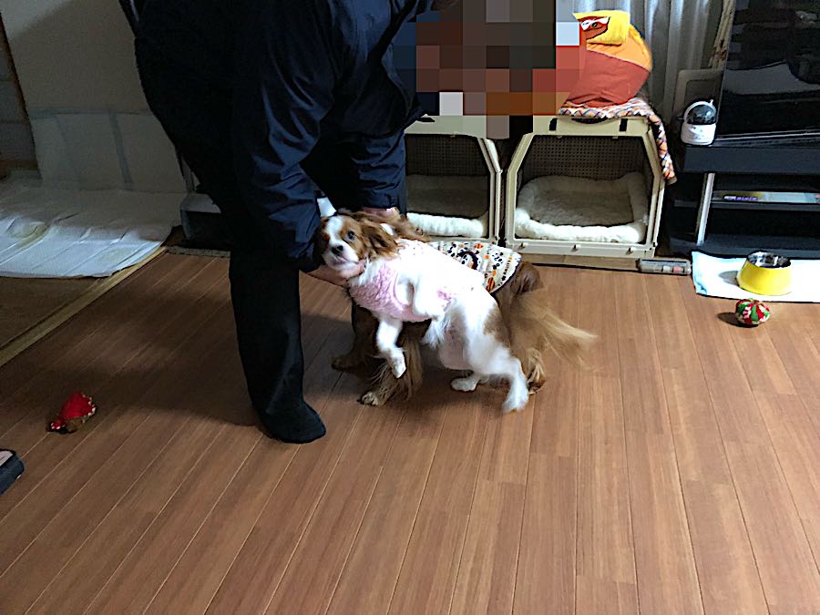 rblog-20181114224306-05.jpg