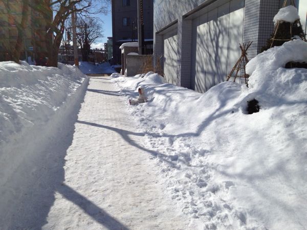 rblog-20140117160010-01.jpg