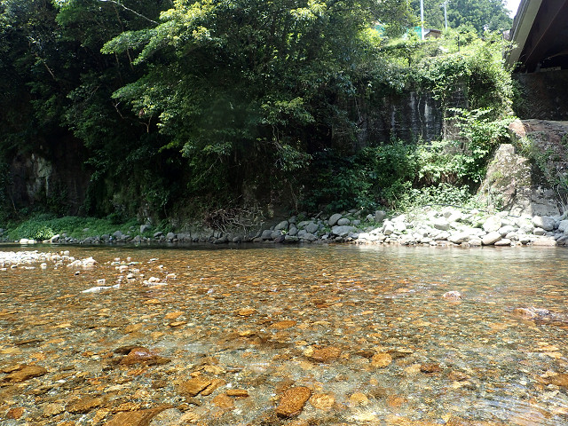 resize0019.jpg