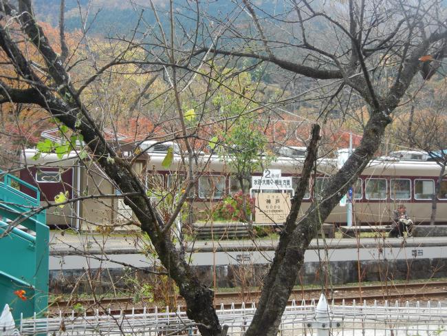 DSCN6370.JPG