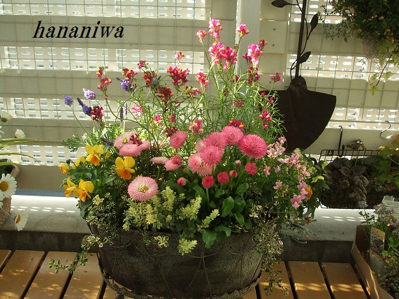 アンティークポット寄せ植え１２０３２１.JPG