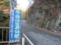 IMG_3795_R.JPG