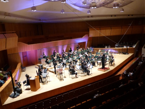 P1000807 (500x375).jpg