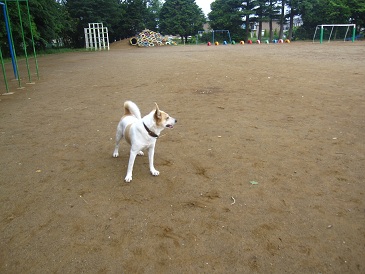 IMG_8833.JPG