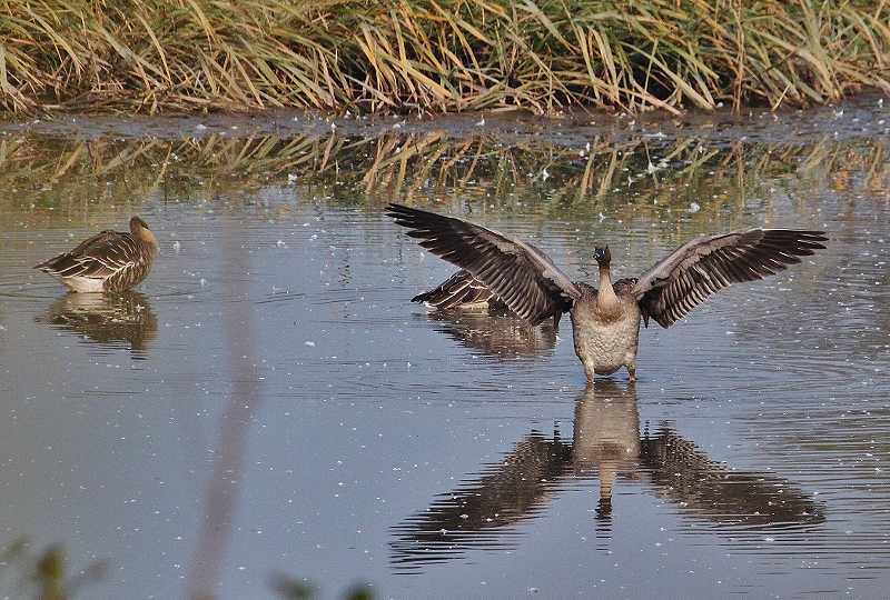 IMG_5081 (800x540).jpg