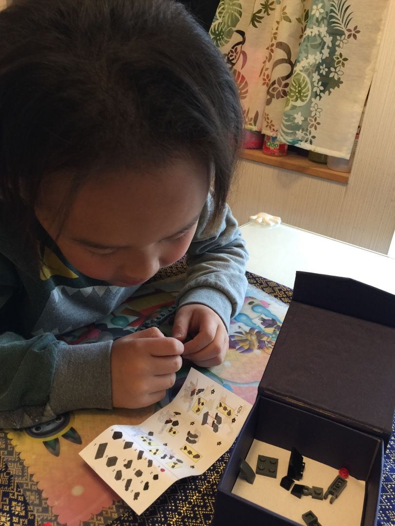 小学生がハマる 集中力アップに 恐竜パズルブロック 日韓夫婦の楽しい子育て 楽天ブログ