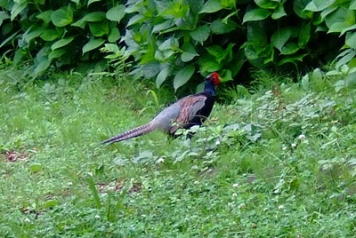 DSCF7751.JPG