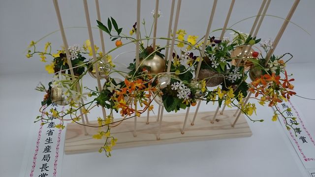 2016-02-14 11.37.36.jpg