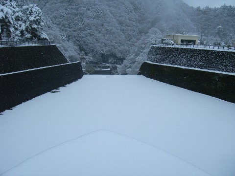 R1020046.JPG