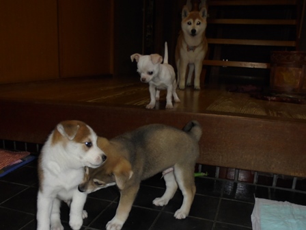 DSC01300.JPG