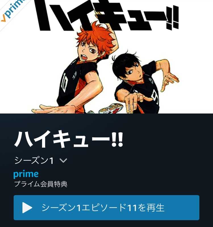 バッグのキルティング開始 と ハイキュー視聴開始 Happy Days 楽天ブログ