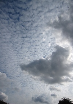 IMG_2007.JPG