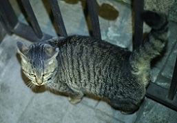 5DA_0760-5.jpg