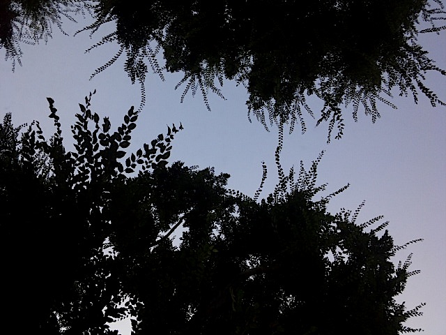 140730_161435.jpg