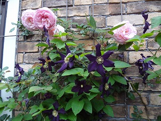DSC01285.jpg