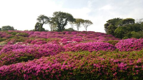 rblog-20140504053737-01.jpg