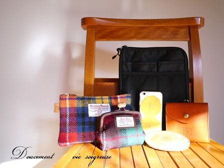 2017.1.19 中身.JPG
