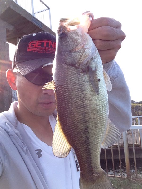 rblog-20141030150751-01.jpg