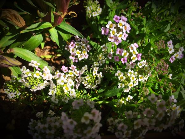 rblog-20151025173233-01.jpg