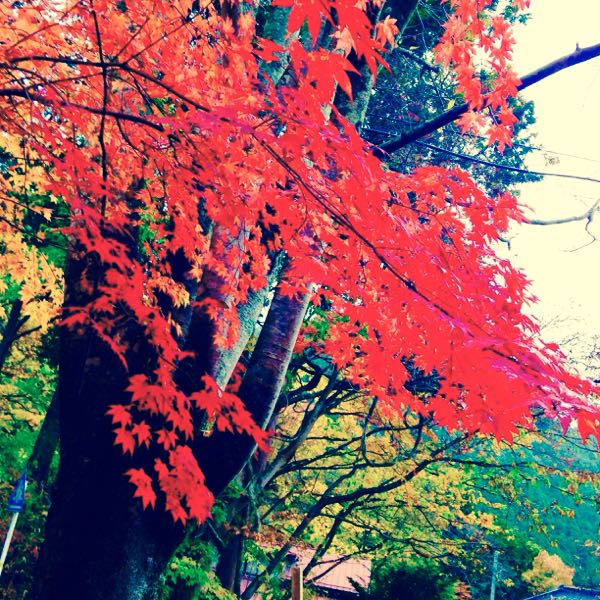 rblog-20141112172749-01.jpg