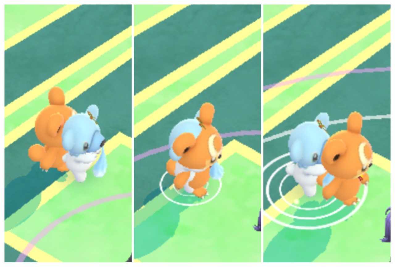 ヒメグマとクマシュンの融合 一筆啓上ヒメグマ日記 楽天ブログ