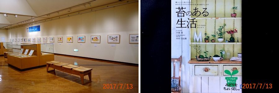 ７／１３本を借りてきた.jpg