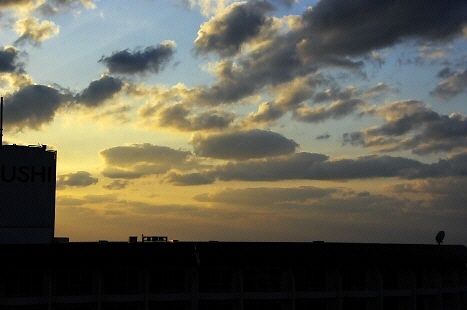 341.部屋からの夕景