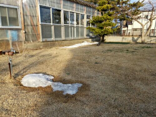 rblog-20170312183717-01.jpg