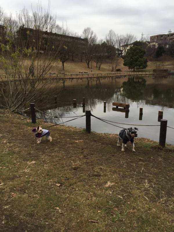 rblog-20160205020958-02.jpg