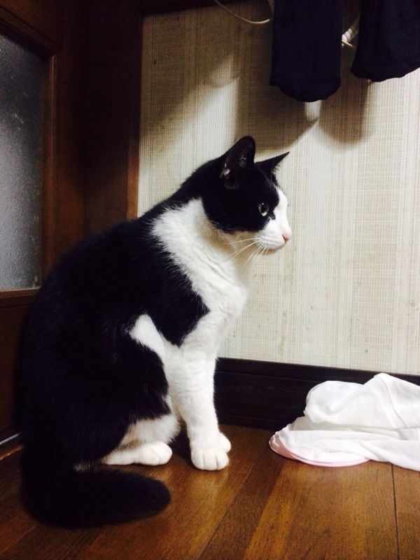 rblog-20131202183841-01.jpg