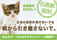 ブログ１.jpg