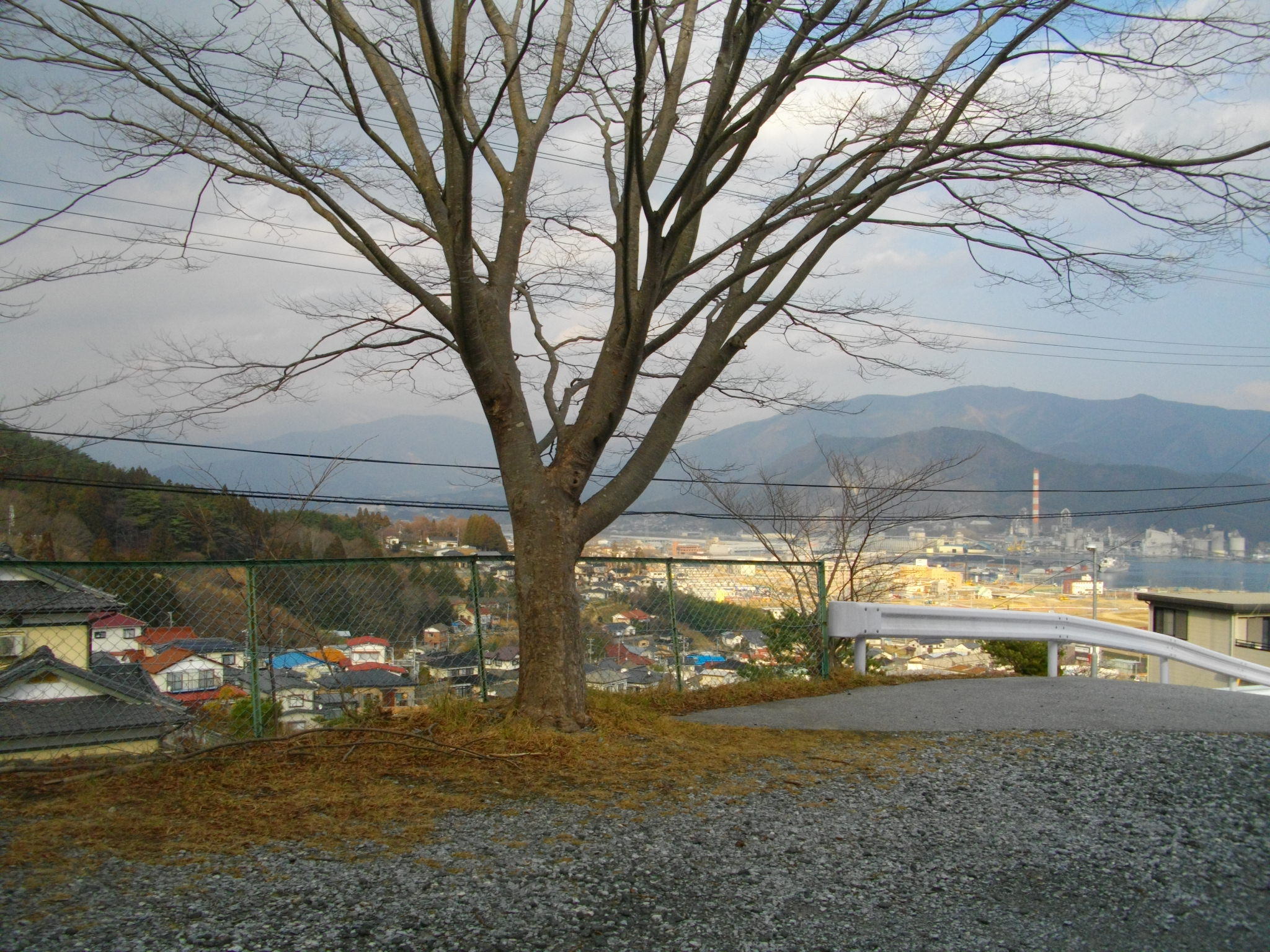 IMGP7677.JPG