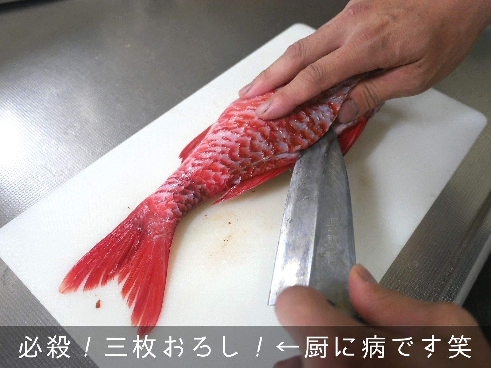 まな板の上のウミゴイ ウミゴイの刺身 若葉マークのお魚クック 楽天ブログ