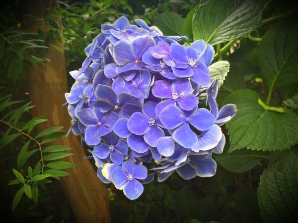 rblog-20160625183053-00.jpg