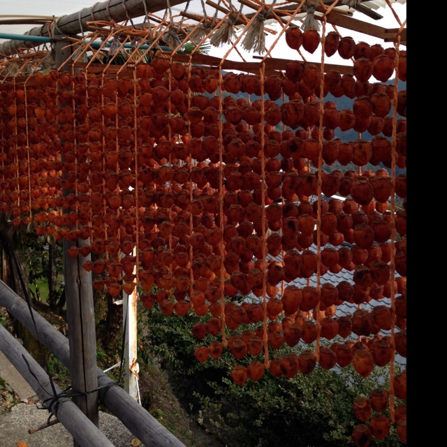 rblog-20131111134527-02.jpg