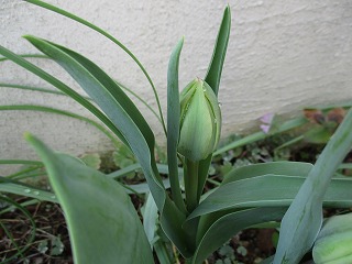IMG_8043ss.jpg