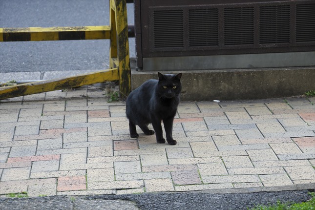 3.DSC03844_R - コピー.jpg