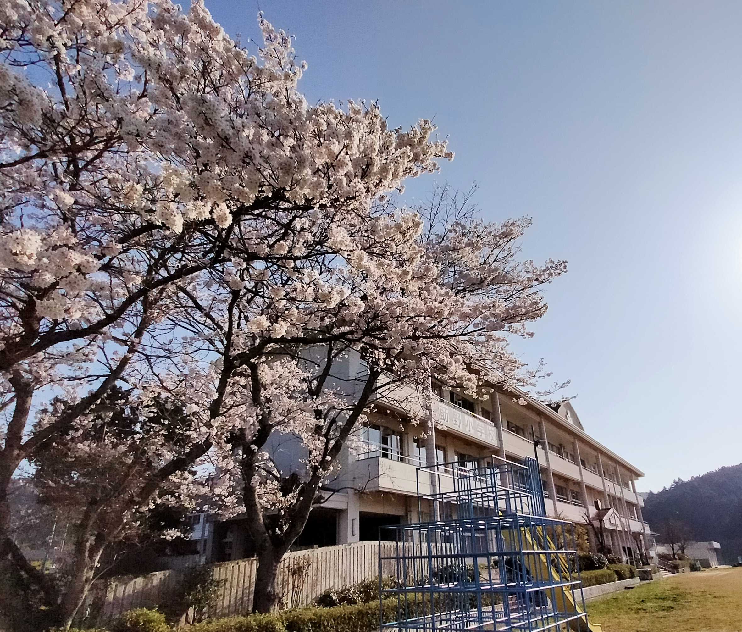 学校だより「莇野」4月号 のんびりゆっくりhappy 楽天ブログ