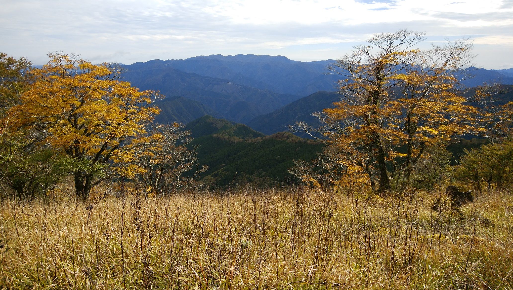 3ページ目の 山登り 和歌 山オバチャンの日記 楽天ブログ