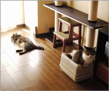 終わったら起こしてね