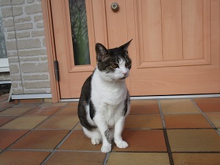 IMG_4520ss.jpg