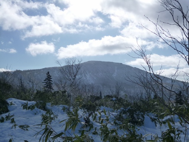 P1320170無意根山11：28.jpg