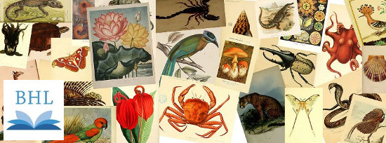 Facebook_Biodiversity Heritage Library