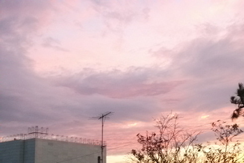 DSCF5284.JPG