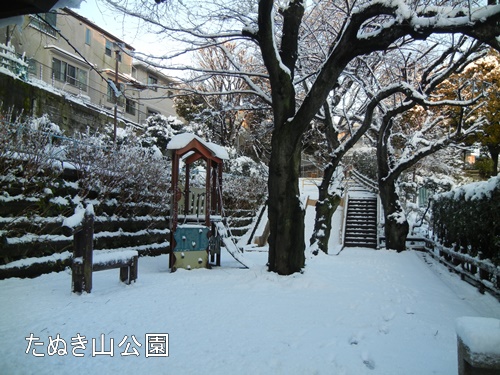 近くの雪景色＆ノエル