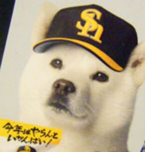 rblog-20140303123616-01.jpg