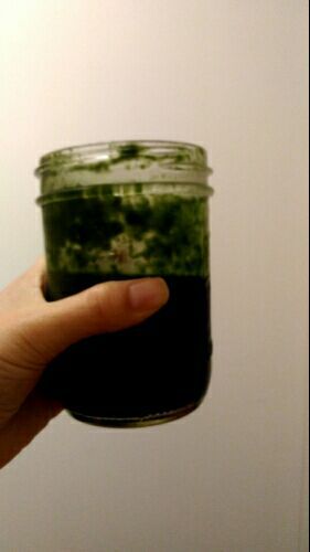 Green Green Spirulina スピルリナ Smoothie まーる2525のブログ 楽天ブログ