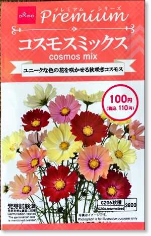 ダイソーのコスモスと春菊の種蒔きと 末摘む花の雑記帳 楽天ブログ