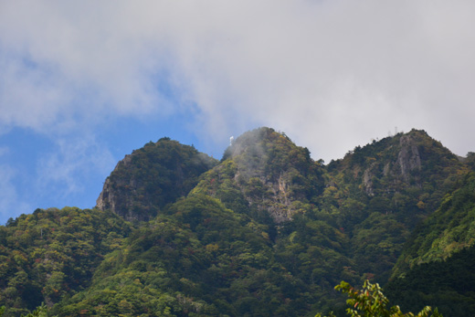 DSC_0351.jpg
