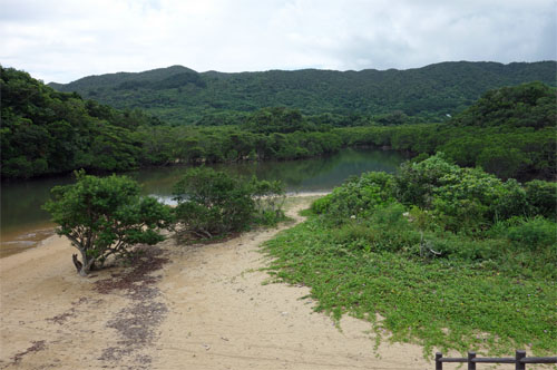 石垣261.jpg